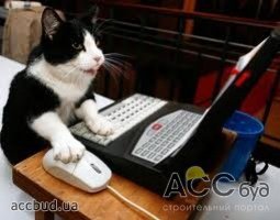 Теперь со своим домашним животным можно играть через интернет