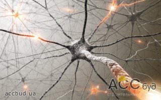 Ученые нашли способ лечить рассеянный склероз