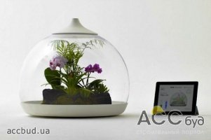 Biome Smart Terrarium – экосистема, управляемая через смартфон