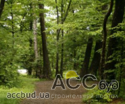 Лесопарковую зону вблизи поселка Быковня требуют вернуть государству!