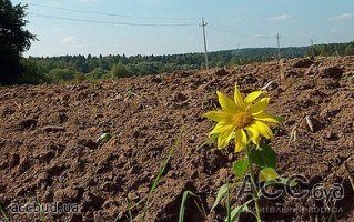 Сегодня получить землю совсем нереально