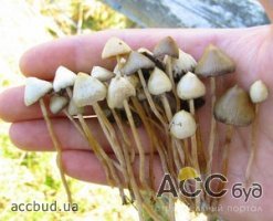 13 необычных способов поймать кайф