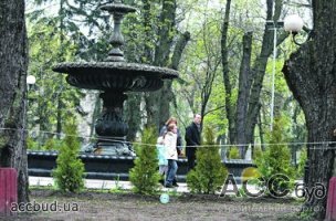 Центр Киева озеленят туями